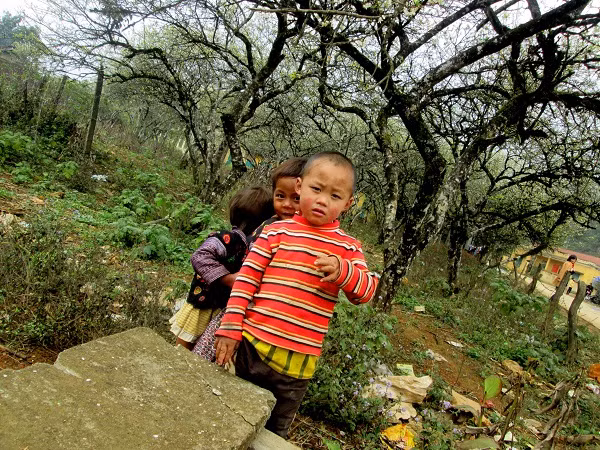 Ánh mắt con trẻ trong veo giữa miền sơn cước Hang Kia ảnh 1