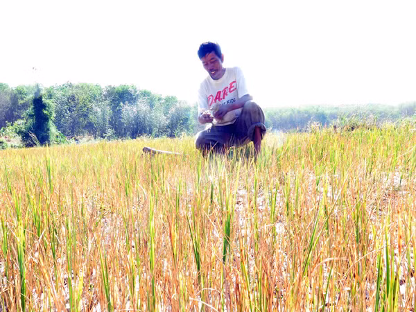 Trung Quốc xả nước, sau 14-19 ngày mới về Việt Nam ảnh 1