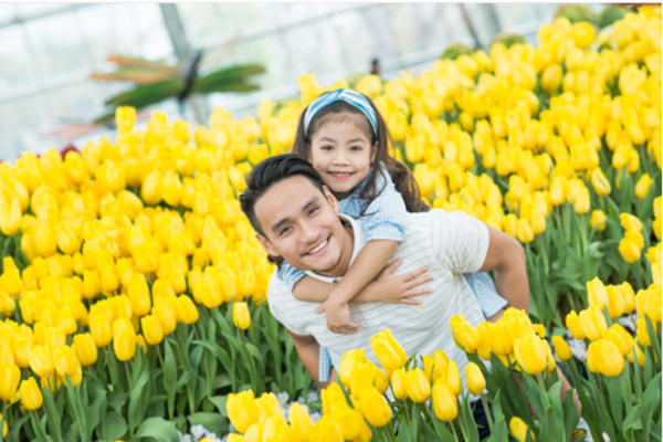 Festive Wonderland – Lễ hội thần tiên tại xứ sở Vinpearl Land ảnh 3 Festive Wonderland – Lễ hội thần tiên tại xứ sở Vinpearl Land ảnh 3