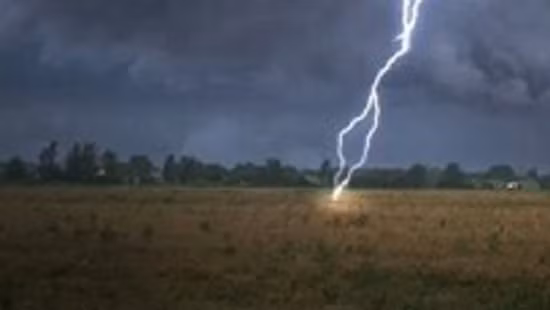 Bị sét đánh khi đang gặt lúa, 1 người chết, 1 người bị thương ảnh 1