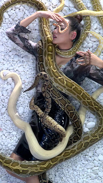 Võ Hoàng Yến "chơi đùa" cùng trăn khiến mọi người khiếp sợ ảnh 5