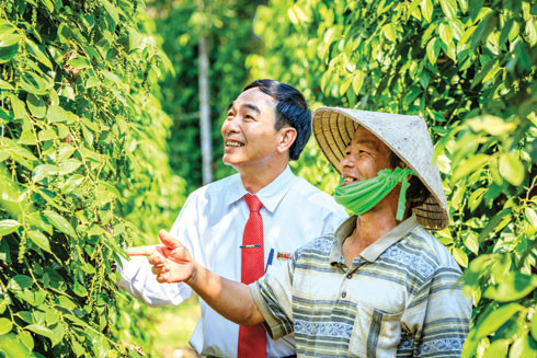 Agribank đi đầu trong việc xử lý nợ xấu theo Nghị quyết 42 ảnh 2