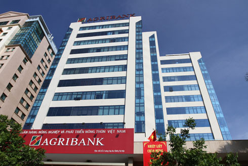 Agribank đi đầu trong việc xử lý nợ xấu theo Nghị quyết 42 ảnh 1