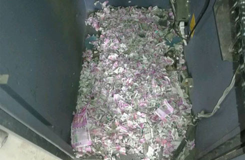 Ấn Độ: Chuột cắn nát 17.000USD trong máy ATM ảnh 1
