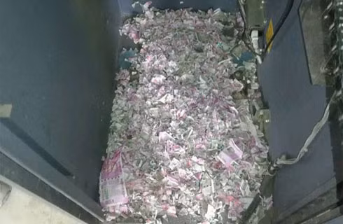 Ấn Độ: Chuột cắn nát 17.000USD trong máy ATM ảnh 1
