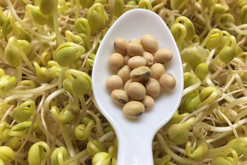 Đừng tự ý mua thuốc bổ bổ sung nội tiết tố nữ estrogen ảnh 1