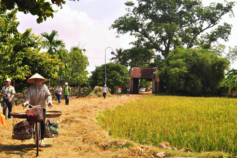 Thương nhớ những làng quê yêu dấu ảnh 1