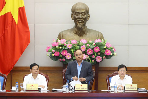 Kiểm điểm, làm rõ trách nhiệm các tập thể, cá nhân để xảy ra tình trạng phá rừng ảnh 1