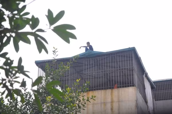 "Ngáo đá" cố thủ cả ngày trên nóc nhà dân ảnh 1