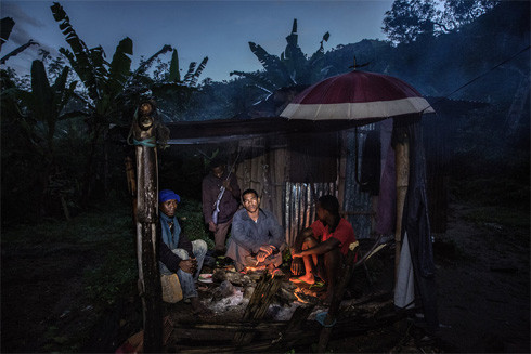 Cuộc sống căng thẳng nơi vựa sản xuất vani lớn nhất thế giới ảnh 1