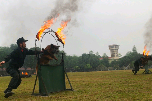 60 năm đào tạo những "chiến binh" đặc biệt ảnh 1