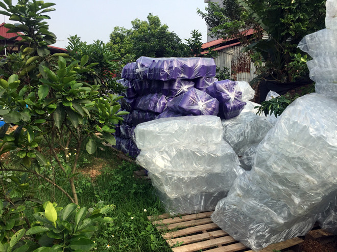 Đột kích cơ sở sản xuất nước giặt giả ảnh 10 Đột kích cơ sở sản xuất nước giặt giả ảnh 10