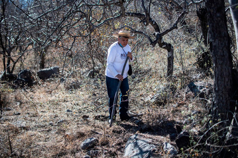Mòn mỏi tìm kiếm hàng chục nghìn người mất tích ở Mexico ảnh 1