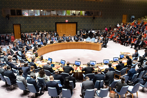Việt Nam sẵn sàng đối mặt với thách thức tại Hội đồng Bảo an ảnh 1
