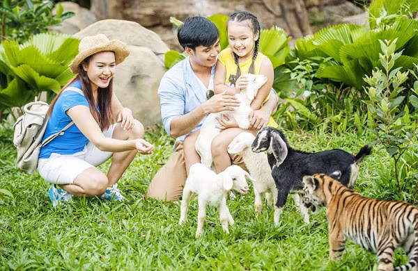 4 cung bậc cảm xúc tại vườn thú mở đầu tiên và duy nhất của Việt Nam ảnh 8 4 cung bậc cảm xúc tại vườn thú mở đầu tiên và duy nhất của Việt Nam ảnh 8