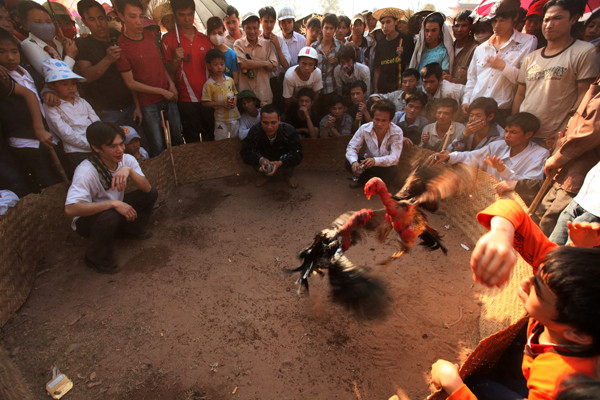 Triển lãm ảnh "Dấu ấn" ảnh 5 Triển lãm ảnh "Dấu ấn" ảnh 5