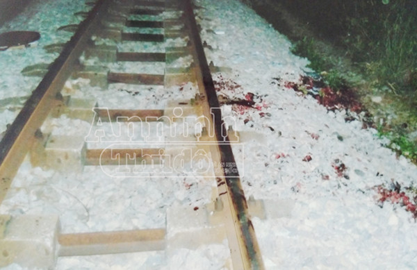 Bài 1: Vụ án thuê người chặt chân tay để trục lợi tiền bảo hiểm: Không khoan nhượng với cái xấu ảnh 1