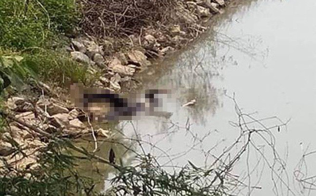 Cãi nhau với người yêu, thiếu nữ nhảy hồ tự tử ảnh 1