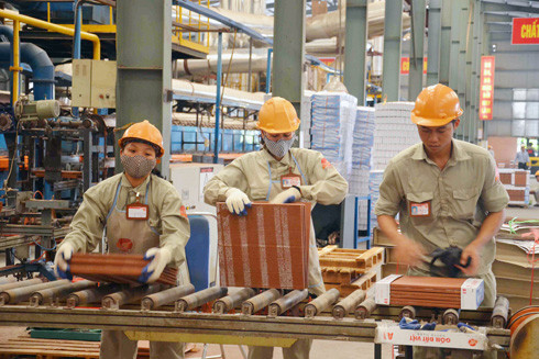 Bảo hiểm xã hội vì quyền lợi người lao động ảnh 1