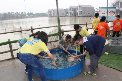 Học sinh nghỉ hè, phụ huynh đau đầu tìm nơi gửi trẻ ảnh 1
