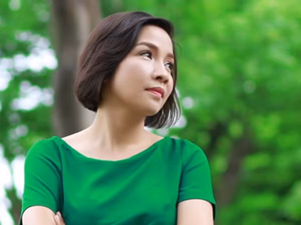 Dàn "sao" Việt kêu gọi ủng hộ đồng bào vùng lũ ảnh 1