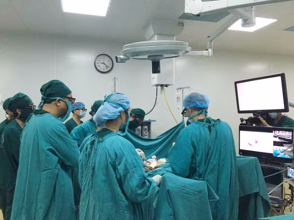 Chuyên gia Pháp "thị phạm" phẫu thuật nội soi 3D ảnh 1