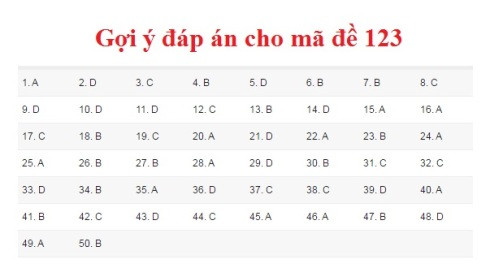 Gợi ý đáp án môn Toán kỳ thi THPT Quốc gia 2017 ảnh 5