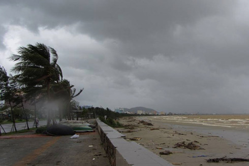 Nam Trung bộ và Nam bộ mưa lớn diện rộng, lũ tiếp tục lên ảnh 1