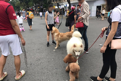 Điều không nên có trong một cộng đồng văn minh ảnh 1