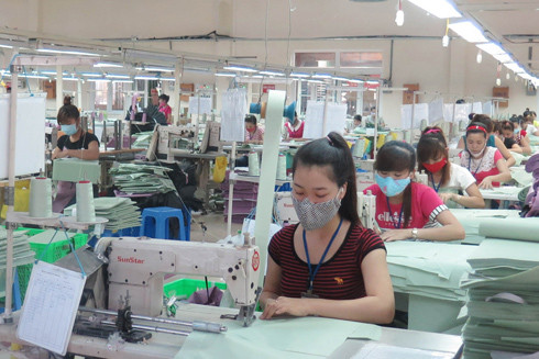 Xử lý nợ đọng bảo hiểm xã hội, bảo vệ lợi ích người lao động ảnh 1