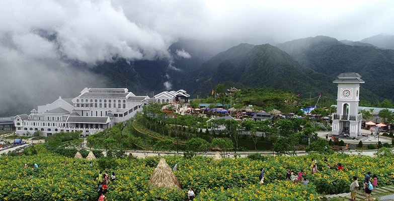 4 triệu cây hoa hướng dương đồng loạt bung nở tại Sun World Fansipan Legend ảnh 1 4 triệu cây hoa hướng dương đồng loạt bung nở tại Sun World Fansipan Legend ảnh 1