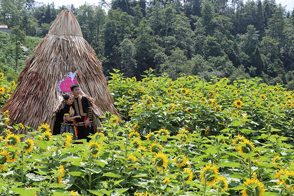 4 triệu cây hoa hướng dương đồng loạt bung nở tại Sun World Fansipan Legend ảnh 6 4 triệu cây hoa hướng dương đồng loạt bung nở tại Sun World Fansipan Legend ảnh 6