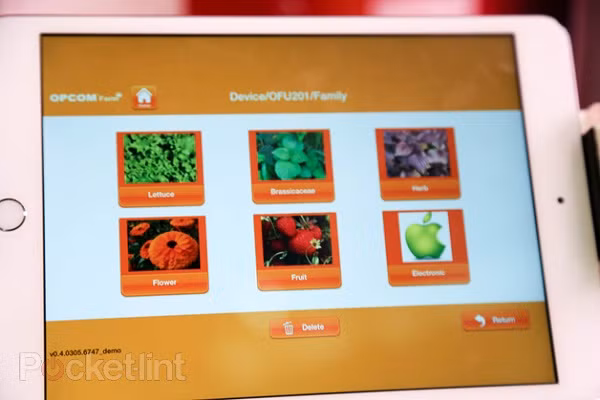 Trồng rau thật bằng iPad ảnh 3