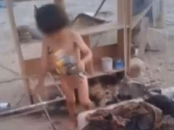 Em bé 2 tuổi sống sót kỳ diệu nhờ được bú sữa của "cô chó tốt bụng" ảnh 1