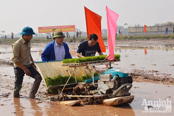 Lãnh đạo TP Hà Nội xuống đồng khai mở vụ xuân ảnh 5