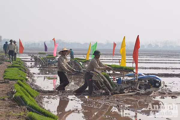 Lãnh đạo TP Hà Nội xuống đồng khai mở vụ xuân ảnh 8