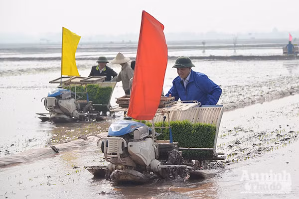 Lãnh đạo TP Hà Nội xuống đồng khai mở vụ xuân ảnh 3