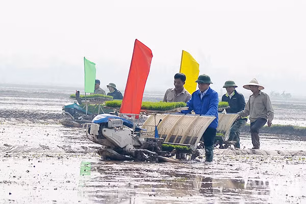 Lãnh đạo TP Hà Nội xuống đồng khai mở vụ xuân ảnh 6