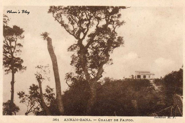 10 năm và sự thay đổi ngoạn mục của đỉnh Núi Chúa ảnh 1