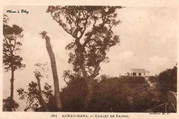 10 năm và sự thay đổi ngoạn mục của đỉnh Núi Chúa ảnh 1