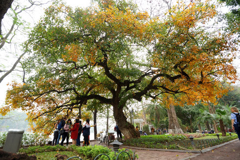 CNN phát sóng 15 phim quảng bá du lịch Hà Nội ảnh 1