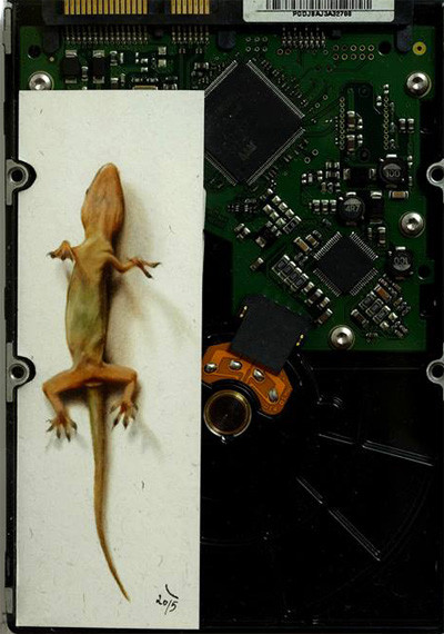 Họa sỹ trẻ Nguyễn Đình Hoàng Việt: Tay vẽ có hạng về động vật ảnh 2