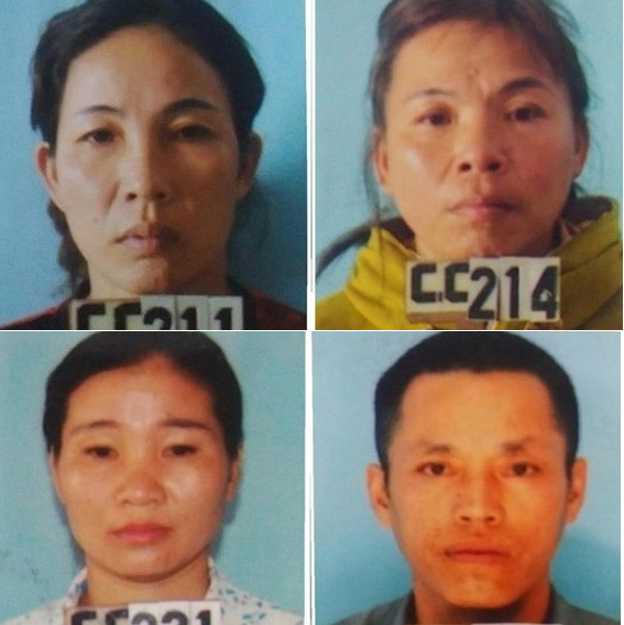 Hai phụ nữ rủ bạn đi chặt hạ vườn keo nhà hàng xóm để trả thù ảnh 1