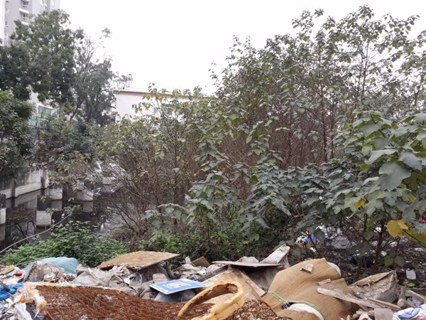 ‘Đắng lòng’ khu đất gần 2.000 m2 bị hoang hóa giữa lòng Thủ đô ảnh 9