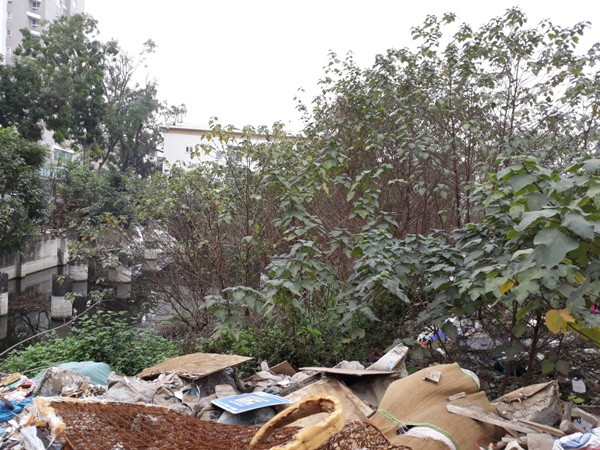 ‘Đắng lòng’ khu đất gần 2.000 m2 bị hoang hóa giữa lòng Thủ đô ảnh 9