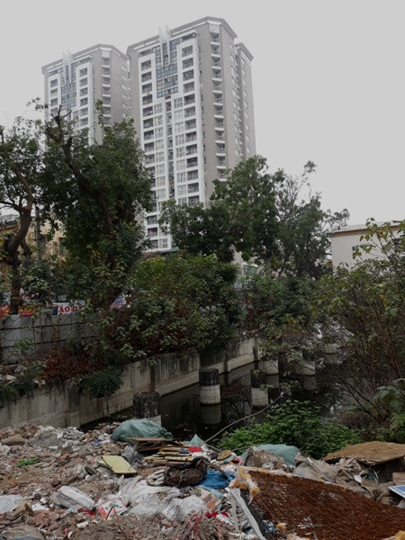 ‘Đắng lòng’ khu đất gần 2.000 m2 bị hoang hóa giữa lòng Thủ đô ảnh 8