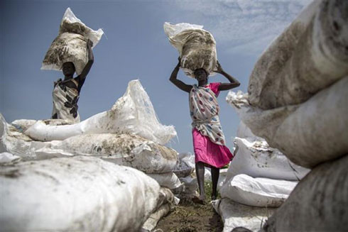 Nhân loại đối mặt với thảm họa khủng hoảng lương thực tồi tệ ảnh 1