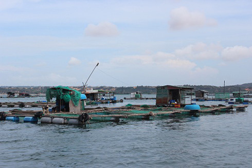 Chủ động đảm bảo an toàn khi bão số 9 đổ bộ gây ảnh hưởng, thiệt hại diện rộng ảnh 3
