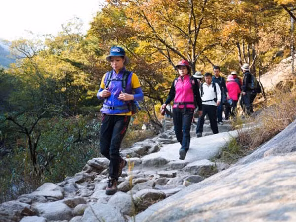 Bảo hiểm du lịch: Không thể coi nhẹ ảnh 1