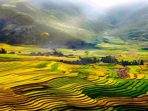 Cái nhìn rất già của các tay máy trẻ ảnh 1